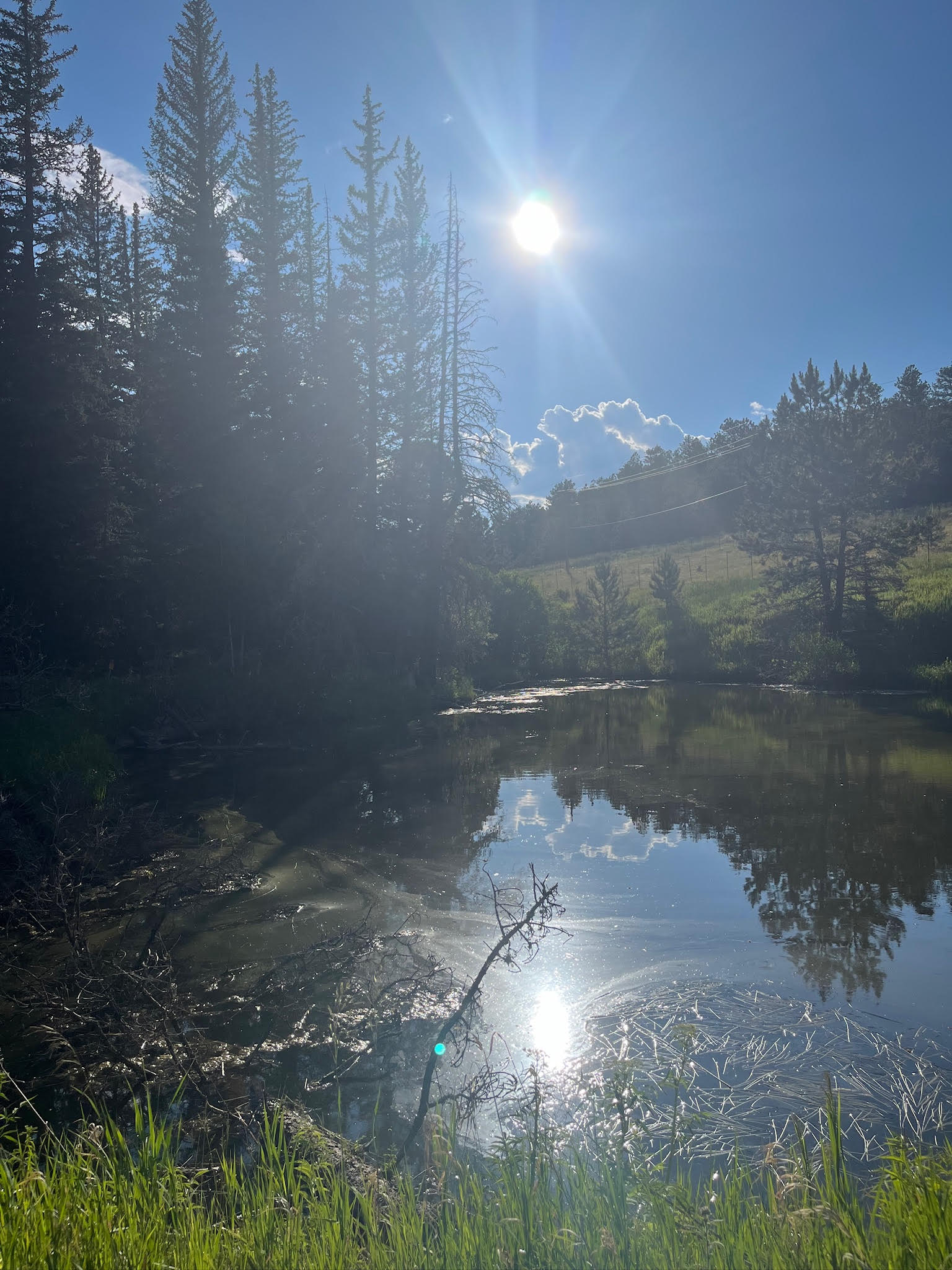 Pond at Dragonfly Ranch
